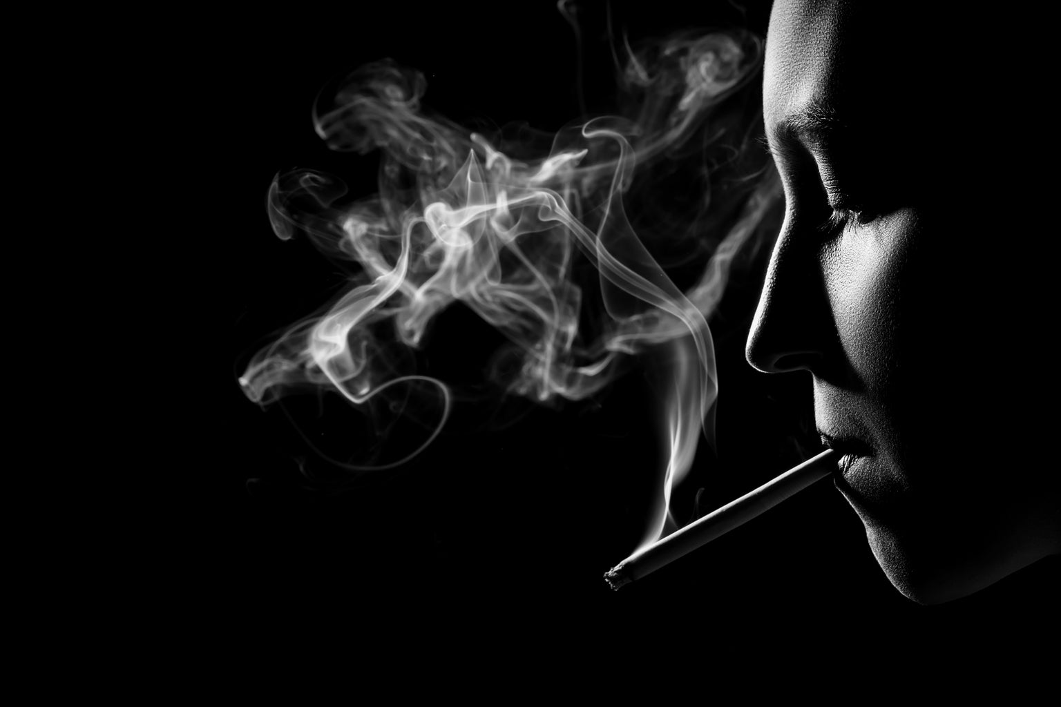 Vacancy at British American Tobacco Vacancy at British American Tobacco
