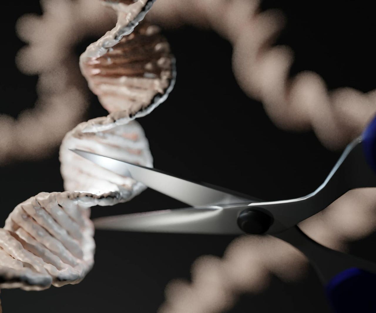CRISPR Therapeutics: Complex Casgevy Launch; Gene-Editing Potential ...