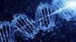 GeneDx soars as pediatrics group recommends genome testing for developmental delay article thumbnail