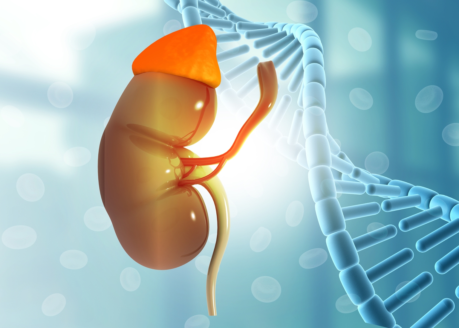 Zevra Therapeutics: Miplyffa Uptake Validates Uncommon Illness Business Mannequin (NASDAQ:ZVRA)