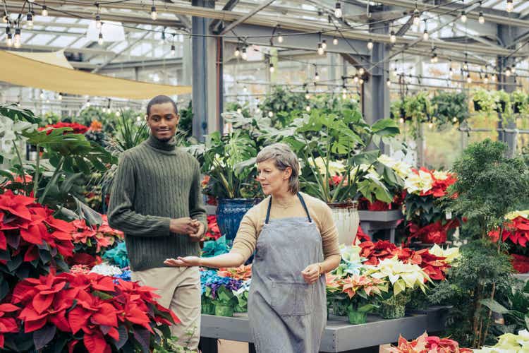 Mature female owner showing Poinsettia to customer at plant nursery