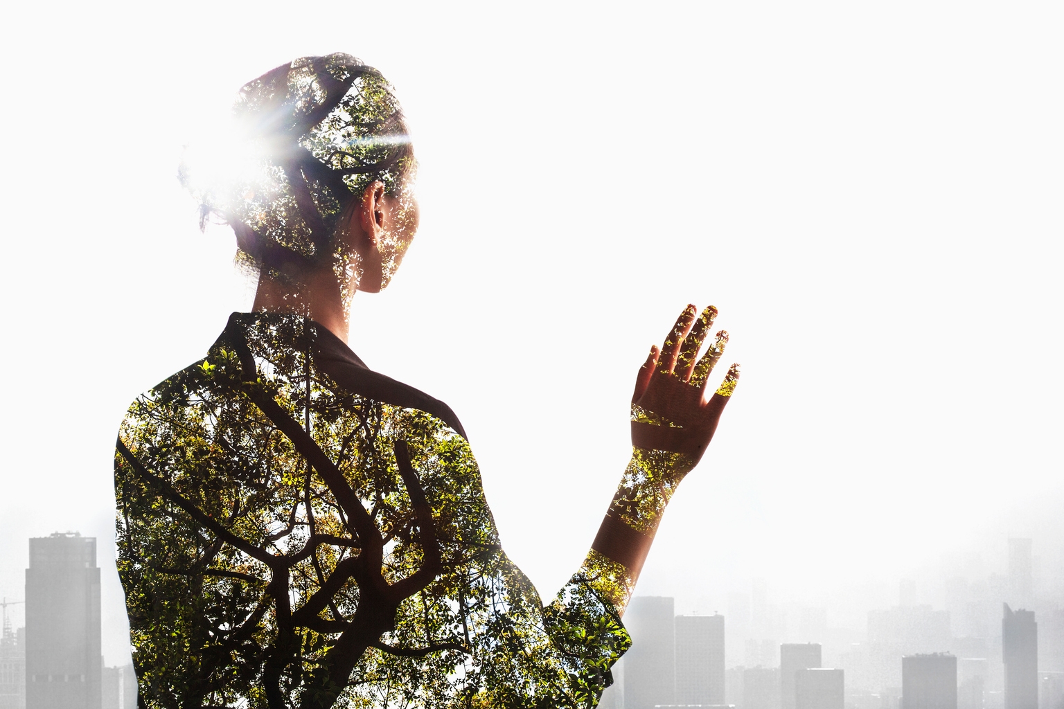 WTPI: Why ETFs Selling Puts For Income Have Not Gained Much Traction