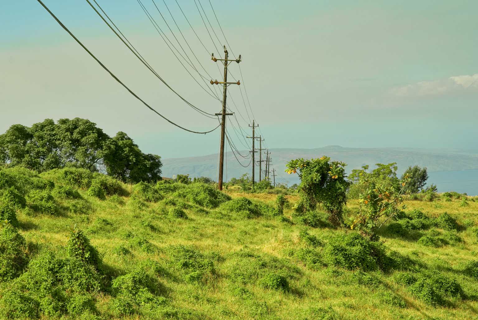 Harnessing Hawaii’s electrical industries