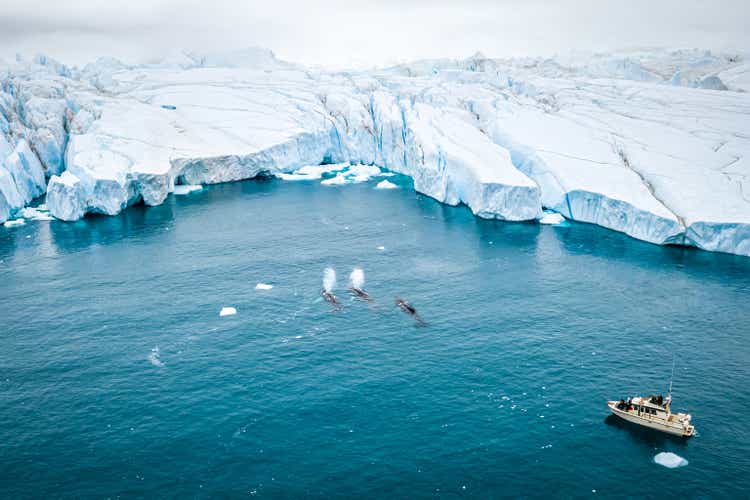 whale wathching boat trip in Greenland