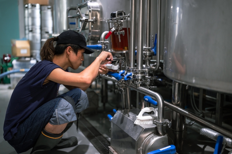 Female owner and young male brewer brewing beer in a microbrewery.