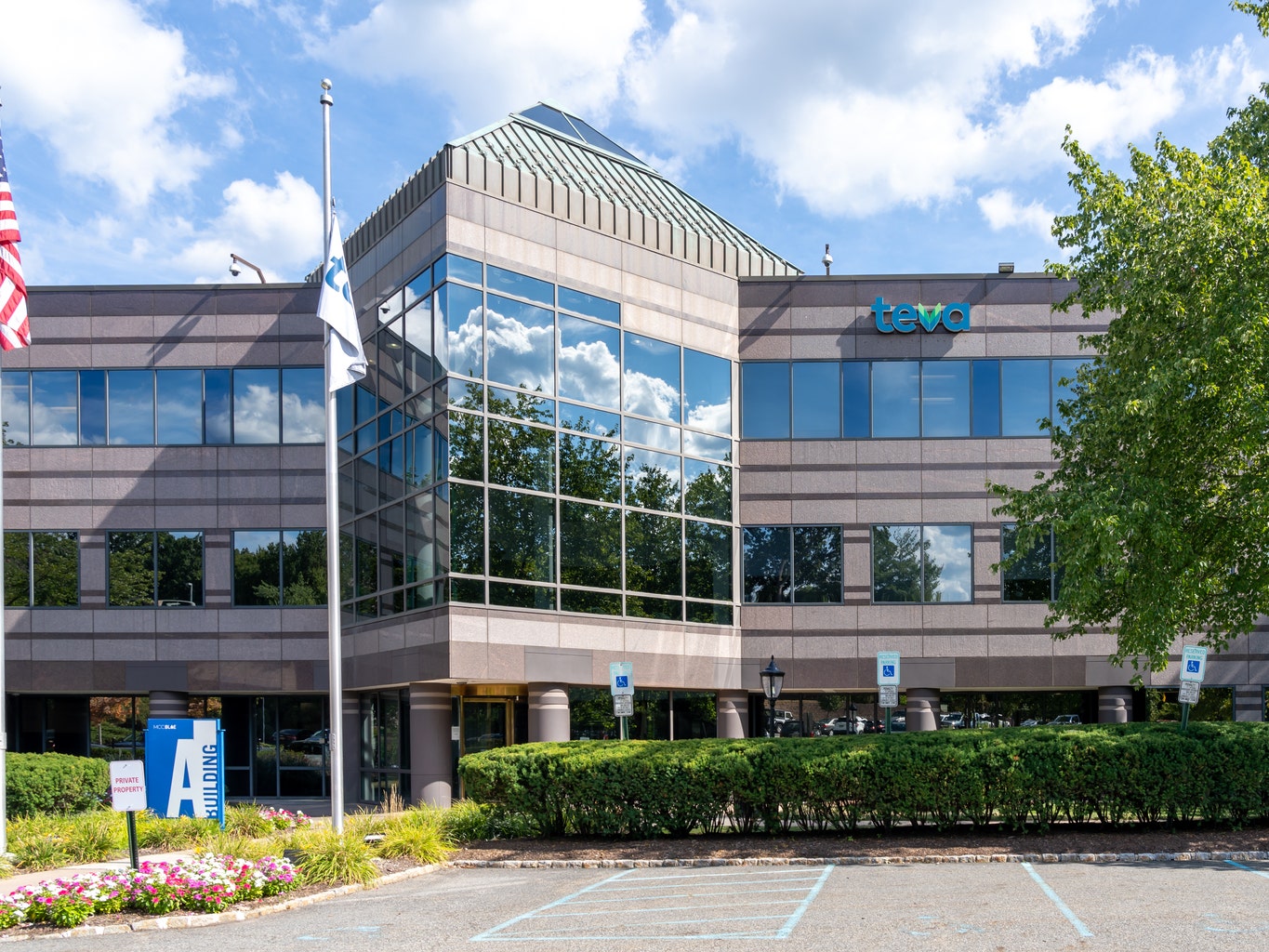 Teva Pharmaceutical CEO Schultz stepping down in November 2023 - WSJ (TEVA) | Seeking