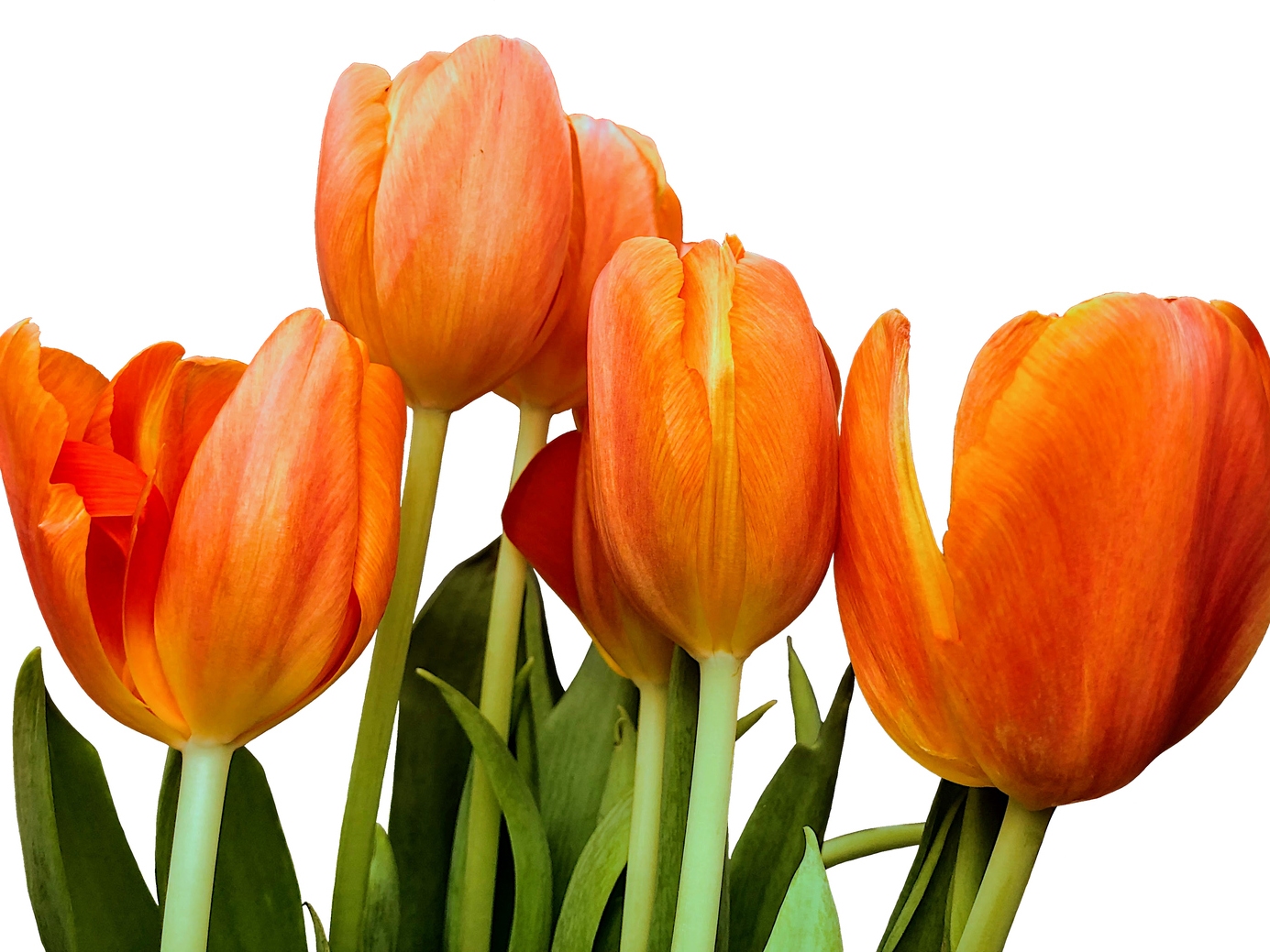 Bitcoin Revisited: Yes, Still Buying Hand Over Fist (BTC-USD) | Seeking  Alpha