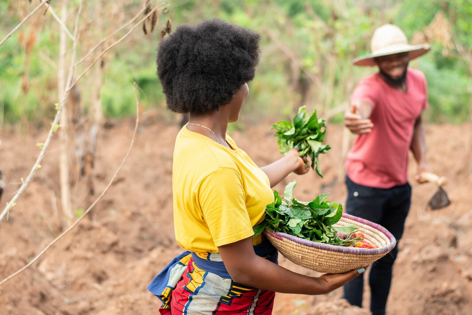 Tingo Group stock drops as it hires law firm to evaluate short report ...