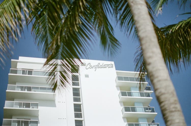 Art Deco Miami Beach: Confidante