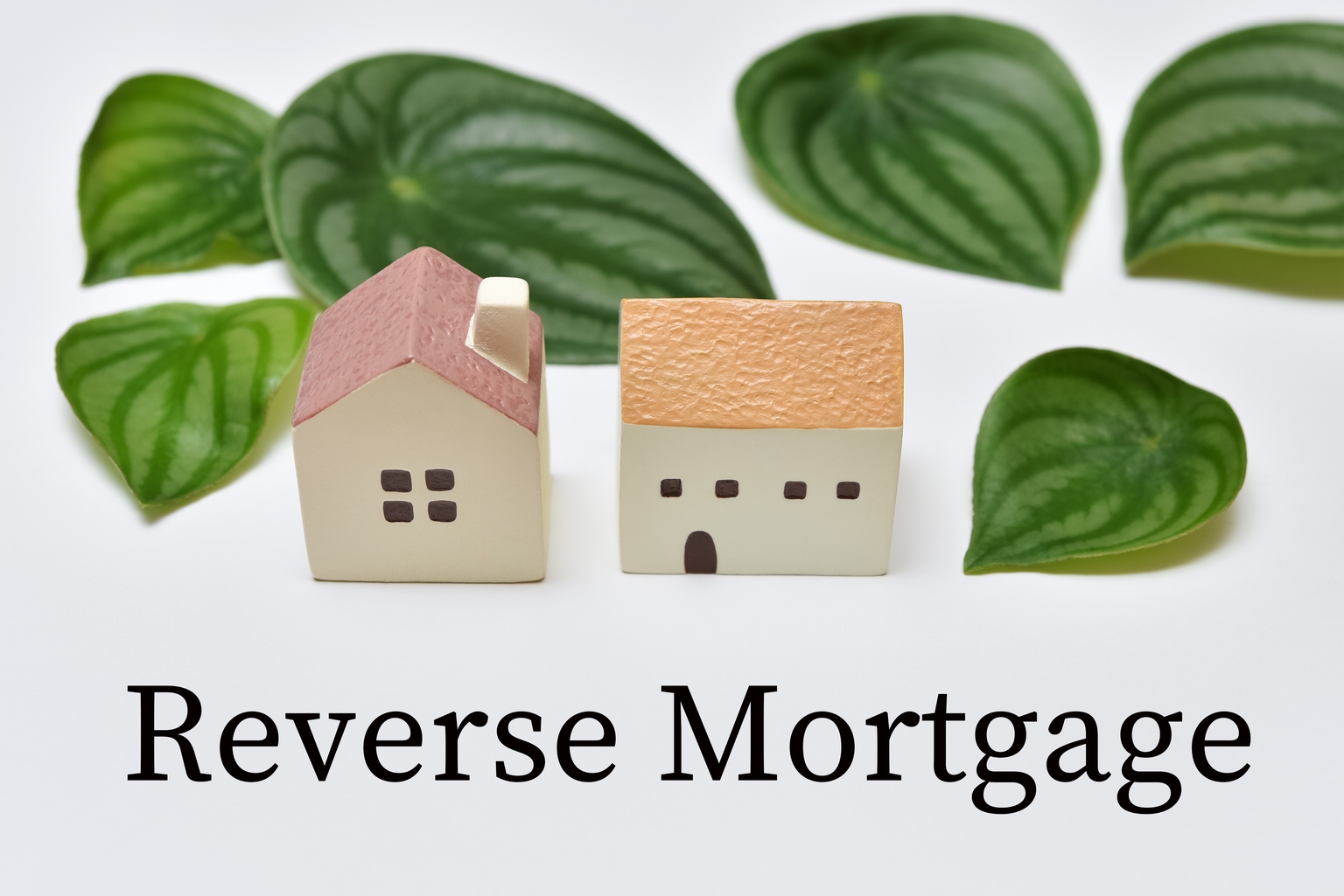 Finance of America: A Levered Bet On The $14T Senior Home Equity Market (NYSE:FOA)