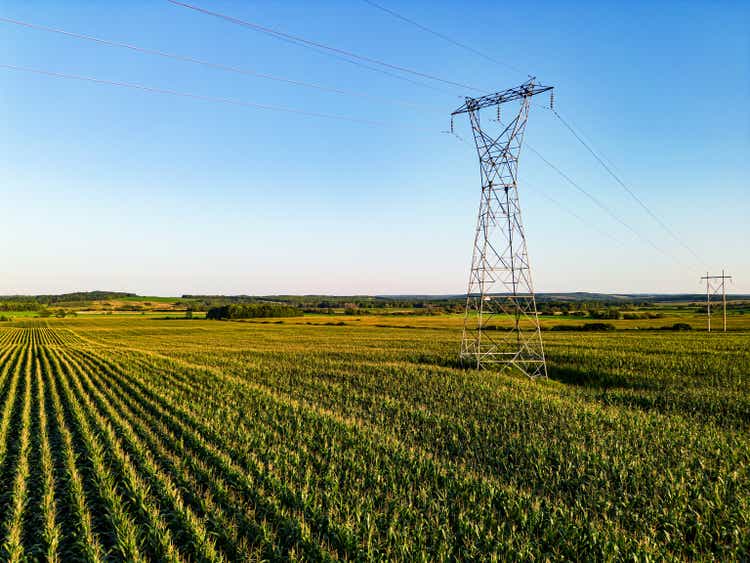 Corn Field & Power Line