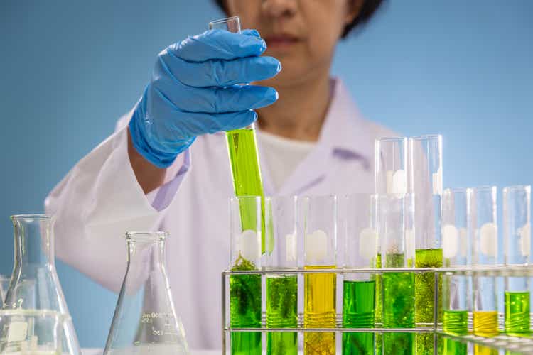 Scientists are researching algae energy for reliable biofuel source.