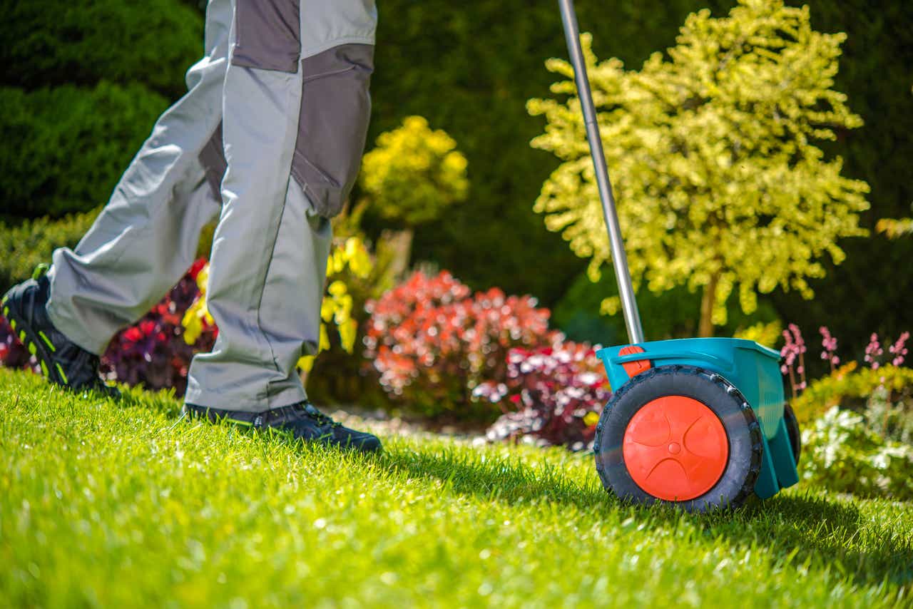 Lawn Care Services