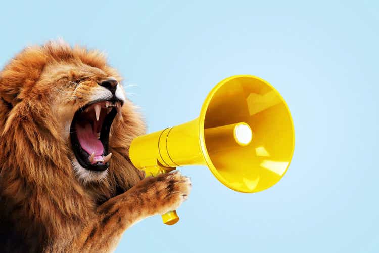 Cool beautiful lion holding and screaming into a yellow loudspeaker on a blue background. Business management and boss, a creative idea. Successful advertising and management, concept. Attention