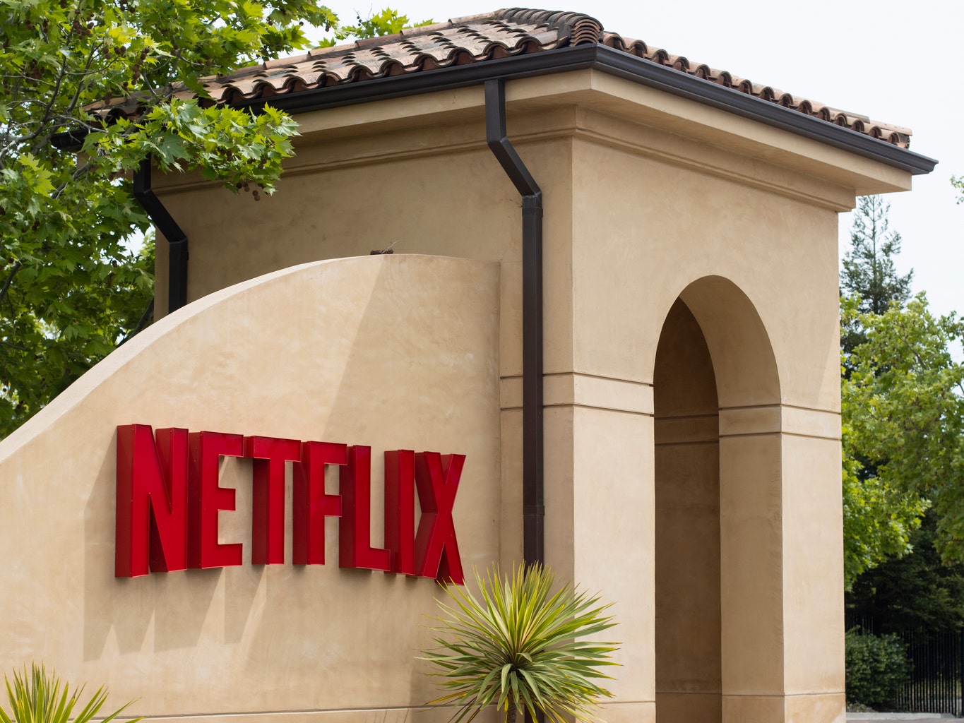 Netflix says password crackdown working as it adds 8.8 million new users, Netflix