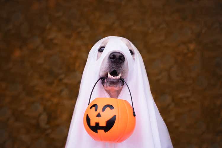 A dog dressed as a Halloween ghost. A golden retriever sits in an autumn park with orange pumpkins and a bucket of candy.