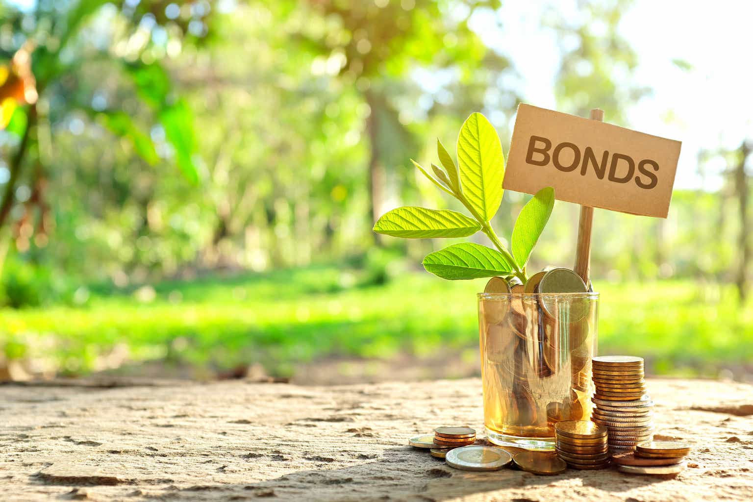 Green Sovereign Bond Sales Stabilise And So Does The Greenium