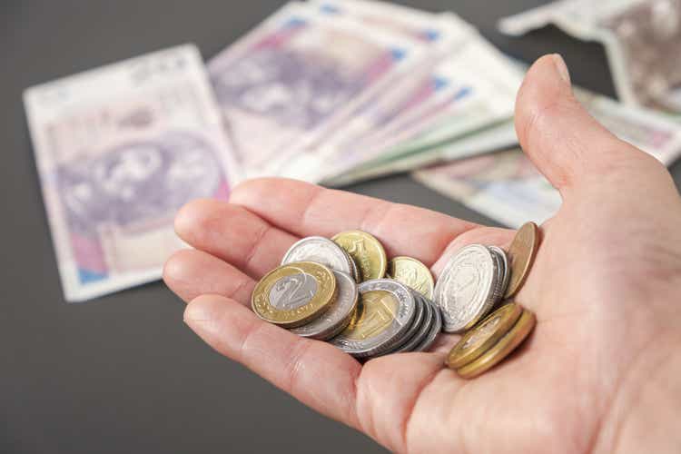 Polish Money Zloty on hand, PLN coins.