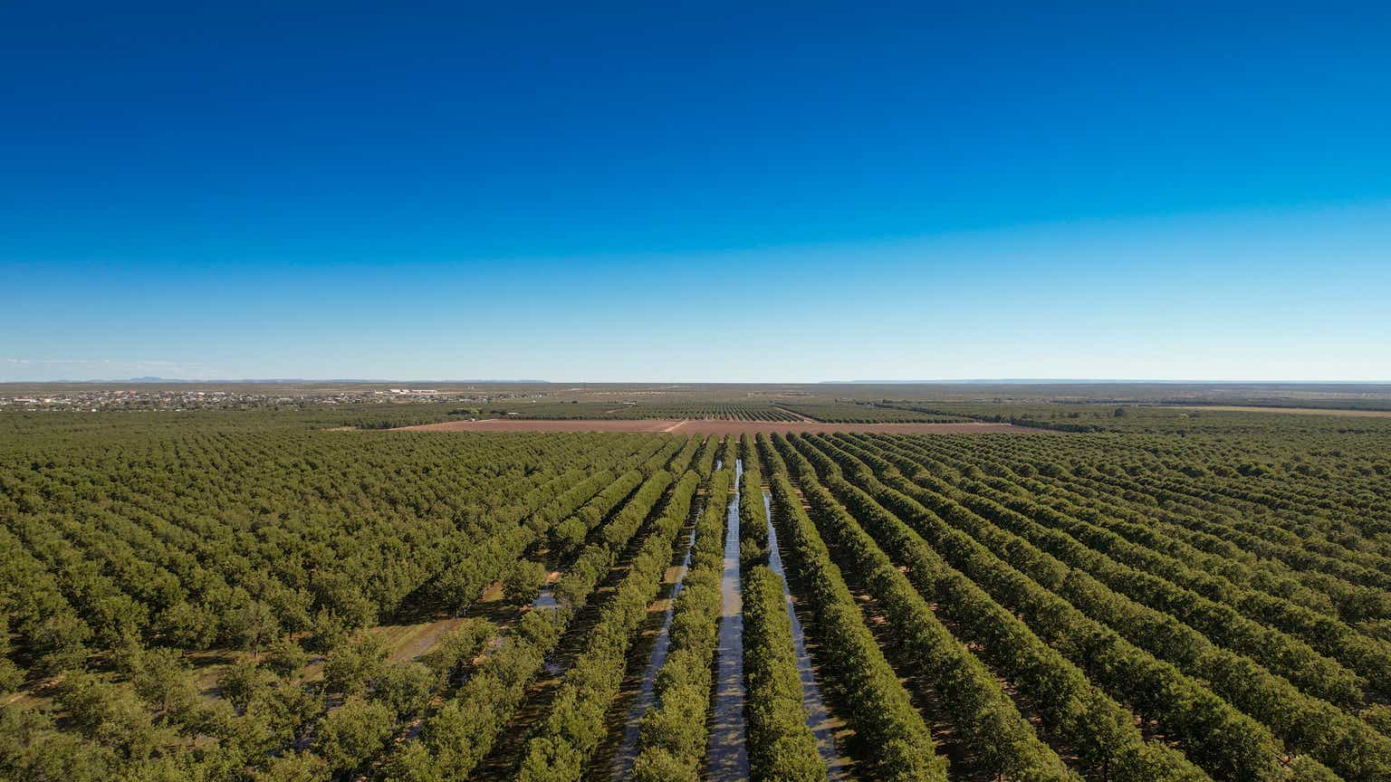 Gladstone Land: This Land REIT Suffers From Expensive Capital Structure