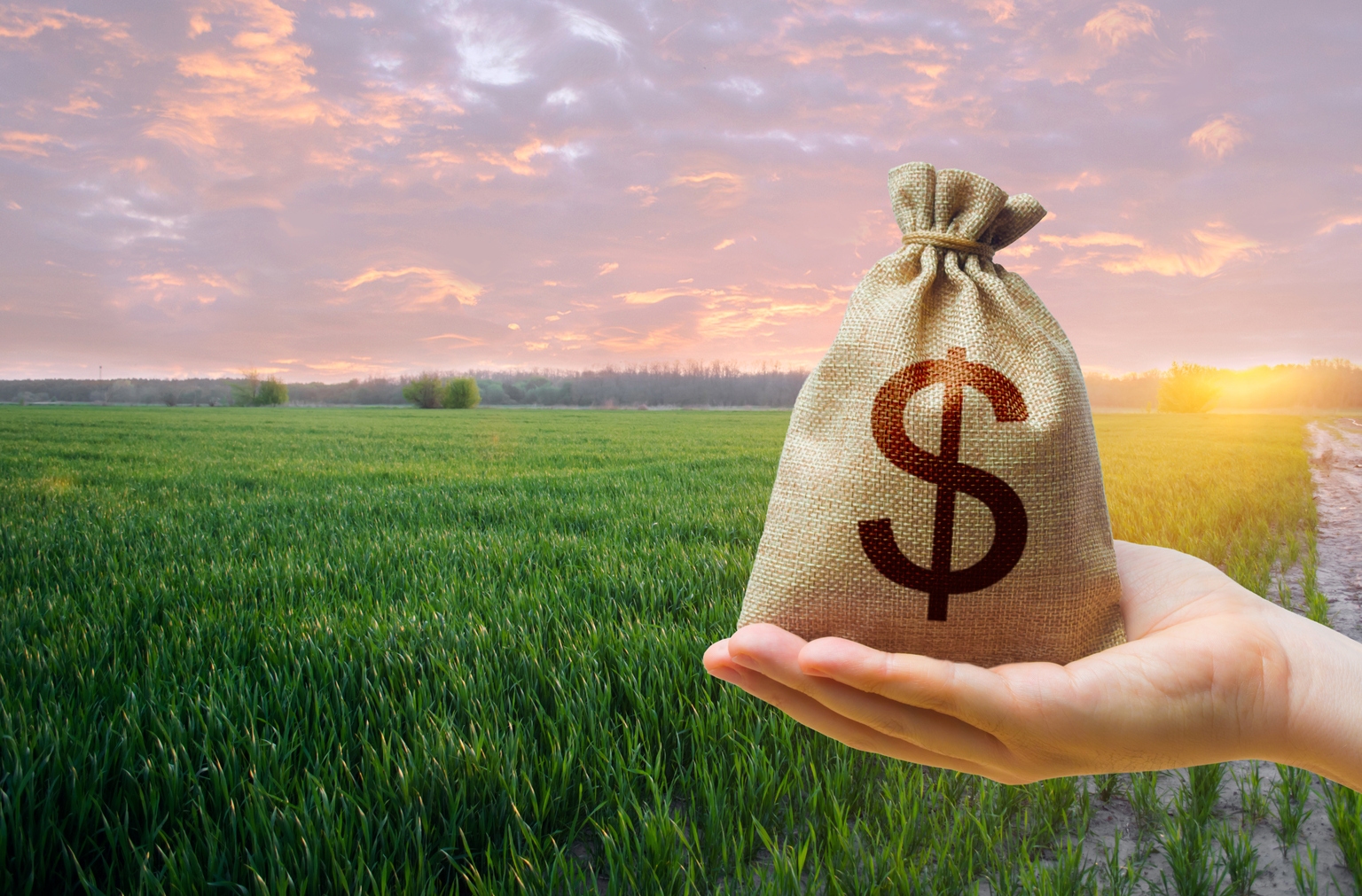 Archer-Daniels-Midland (ADM): This Dividend King Just Got Decimated, My Buying Strategy