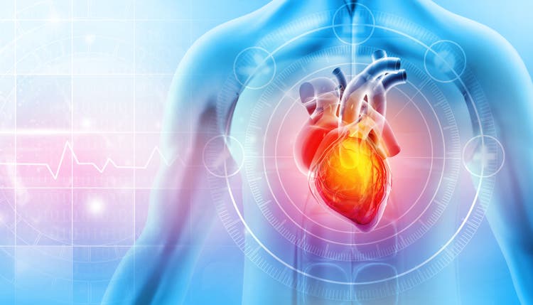 Heart attack and heart disease. 3d illustration