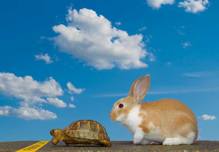 Tortoise and Hare, Finish Line