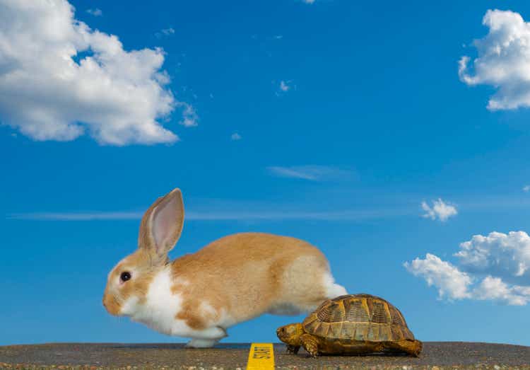 Tortoise and Hare, Start