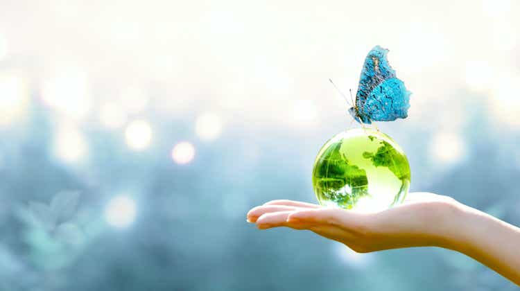 Earth Day concept. Globe ball and butterfly with blue wings in human hand on blurred background. Saving environment, save clean green planet, ecology themes.