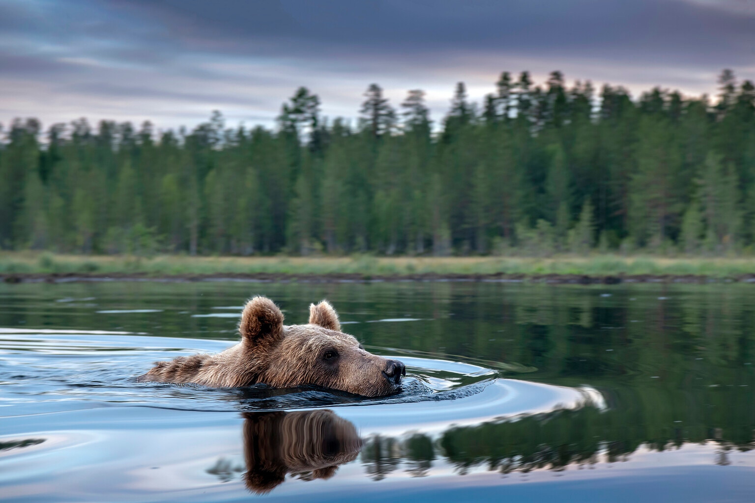 The Bear Market May Be About To Make A Surprise Return