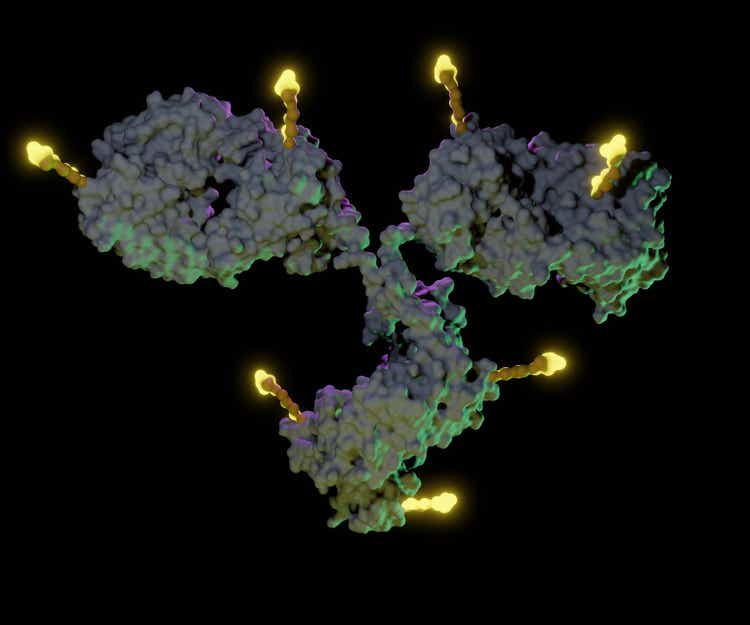 isolated Antibody drug conjugates (ADCs)