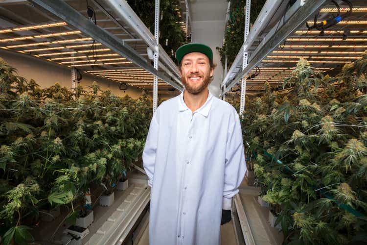 Smiling Man Standing in Industrial Cannabis Grow Room