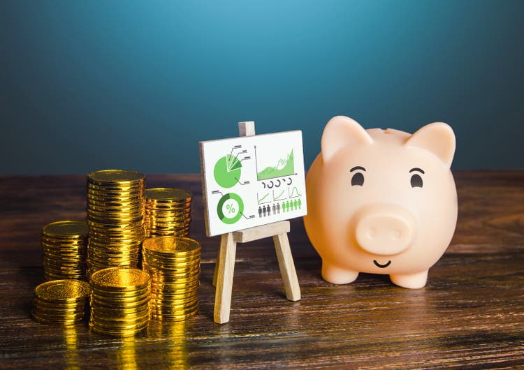 Pig piggy bank proudly presenting good money saving results. Financial literacy, asset management. Increase profits, reduce costs optimization. Business investment plan. Statistics, results reports