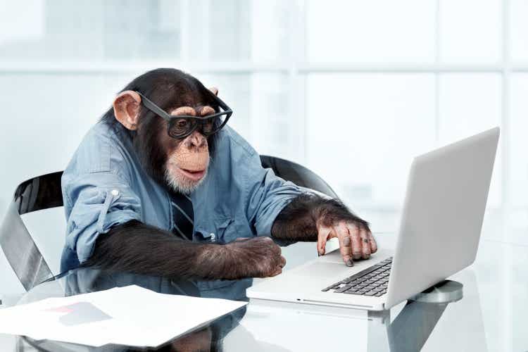 Male chimpanzee in business clothes