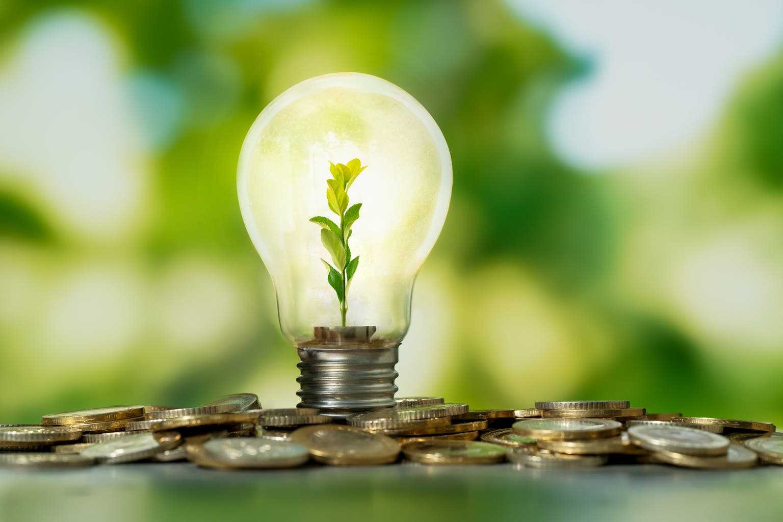 Power Up Your Portfolio With Reliable Dividends; Yields +10%