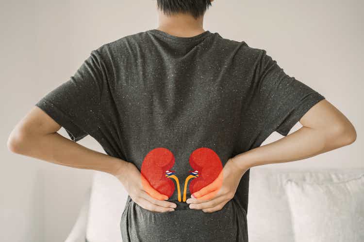 Back view of young man suffering from lower back pain with kidney shape, chronic kidney disease, renal failure concept