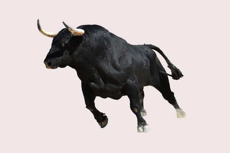 Strong black bull