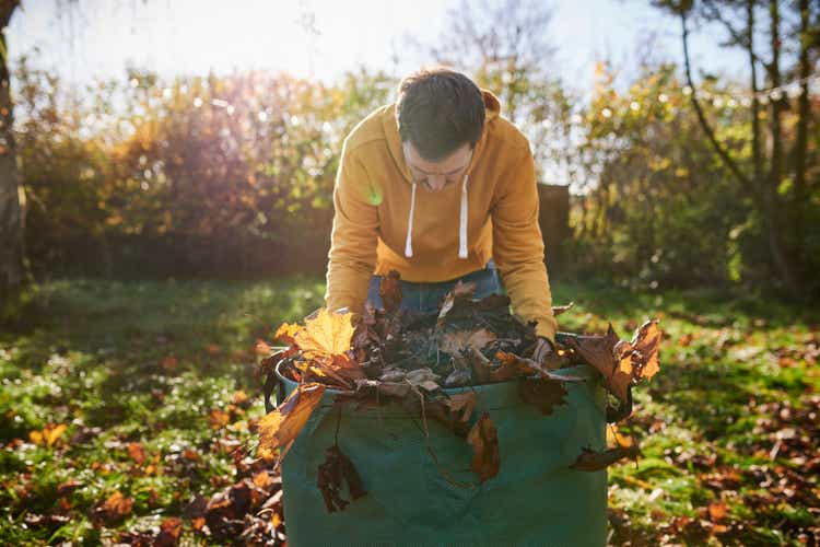 Man raking in autumn leaves garden