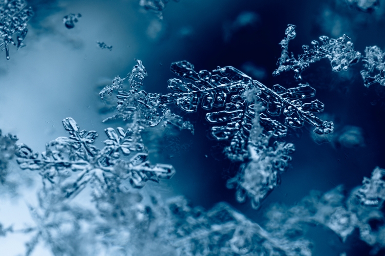 Melting snowflakes on a glass surface