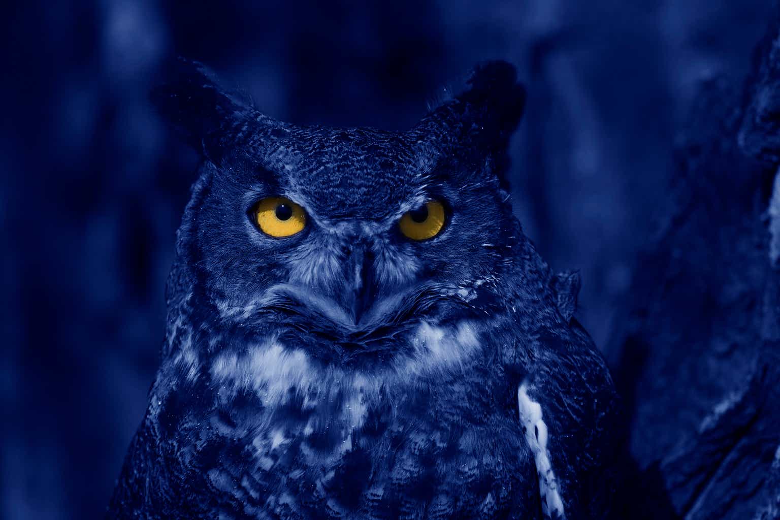 Blue Owl Capital: Time To Enjoy Nearly 11% Yield