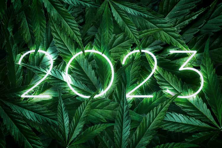 Number 2023 year glowing neon on a background of marijuana leaves, dark background