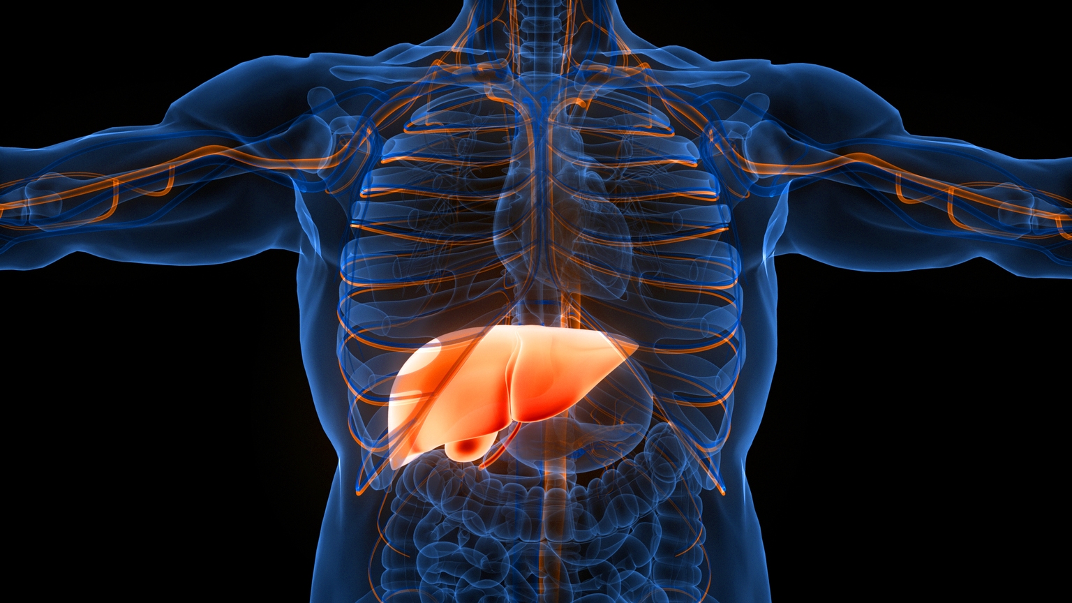Inventiva: Significant Upside Potential Ahead Of Pivotal Liver Disease Readout