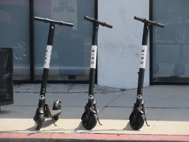 Bird Scooters