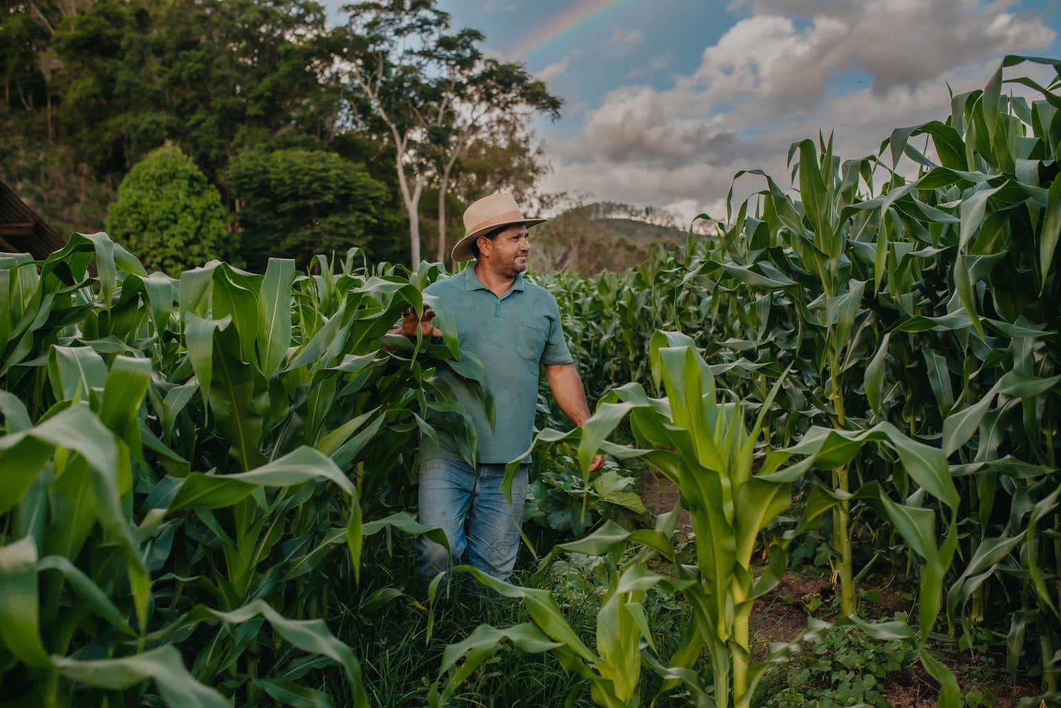 BrasilAgro Stock: Real Estate Resilience During A Challenging Harvest (NYSE:LND)