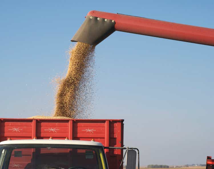 Fall Harvest: Combining Soybeans