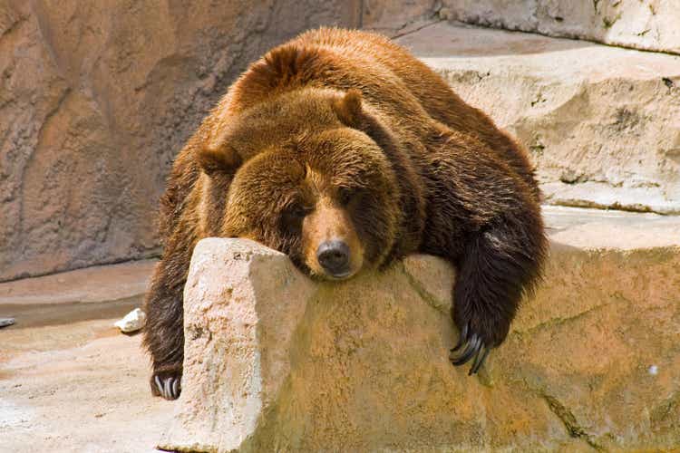 Lazy Day im Zoo