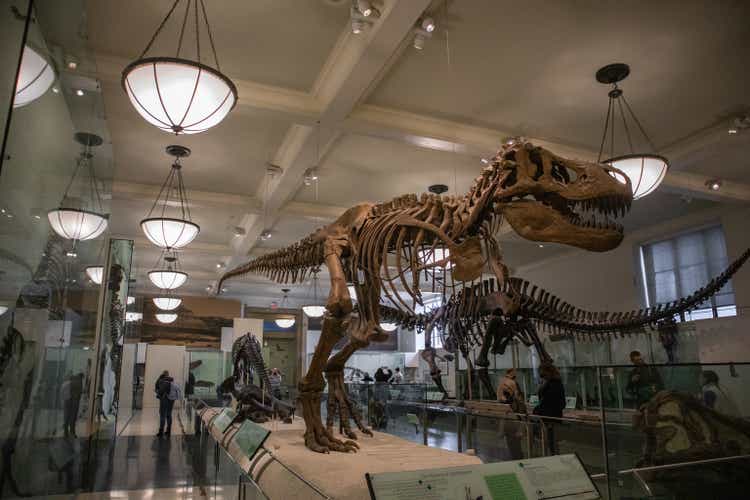 Shot of a Tyrannosaurus skeleton at the American Museum of Natural History