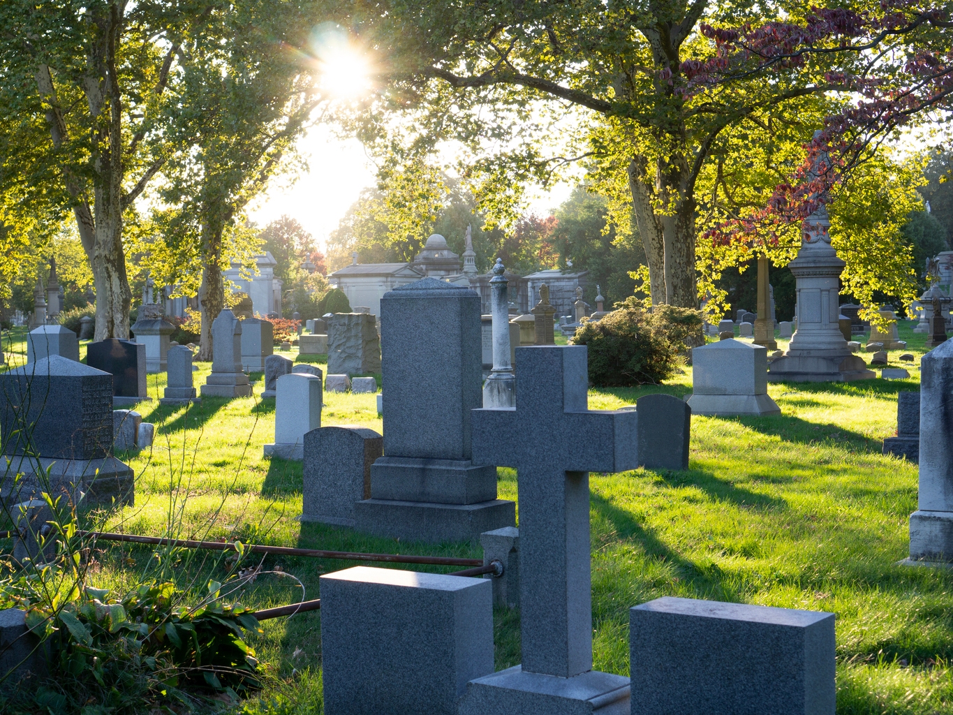 Fu Shou Yuan: Replicating The Service Corp Playbook In China  (OTCMKTS:FSHUF) | Seeking Alpha