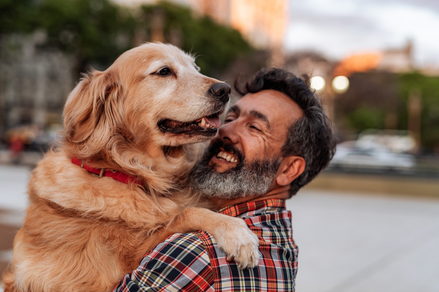 Petco: I Still Think The Near Term Is Going To Be Weak (NASDAQ:WOOF) Petco: I Still Think The Near Term Is Going To Be Weak (NASDAQ:WOOF)