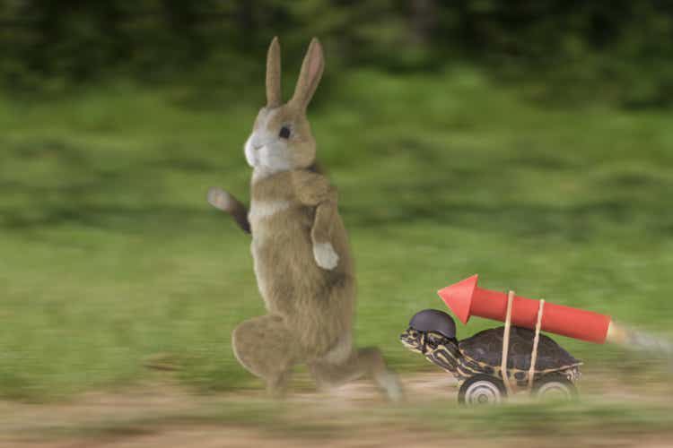 Turtle Rabbit Race - Winning Rabbit