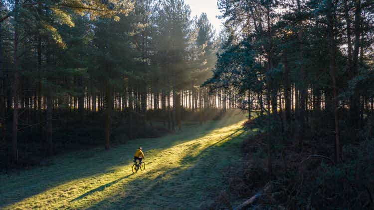 Elevated/drone view of an adventure cyclist on his gravel bike in the forest on a cold but sunny winter"s morning